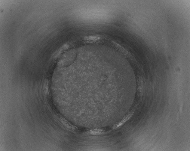 X0000073410758200608251524