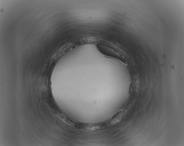 X0000073410760200608251525