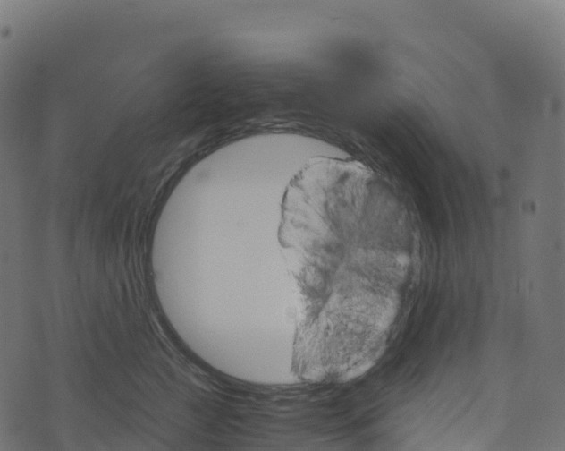 X0000073410761200608251525