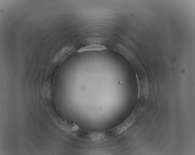 X0000073410762200608251525