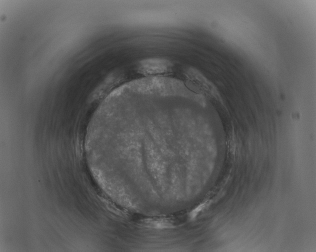 X0000073410763200608251525