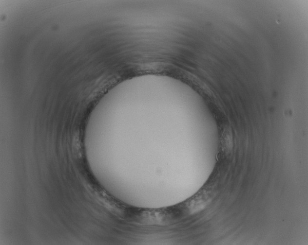 X0000073410764200608251525