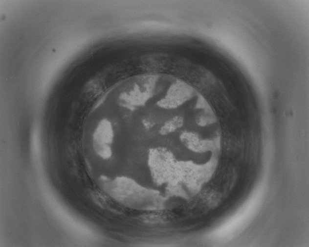 X0000073410765200608251525