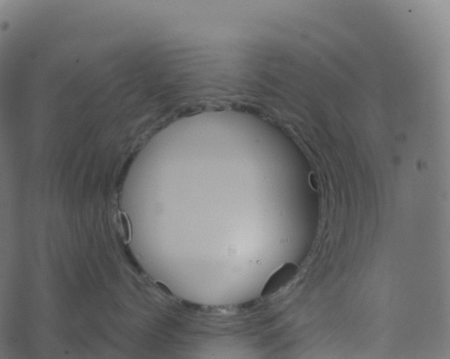 X0000073410768200608251525