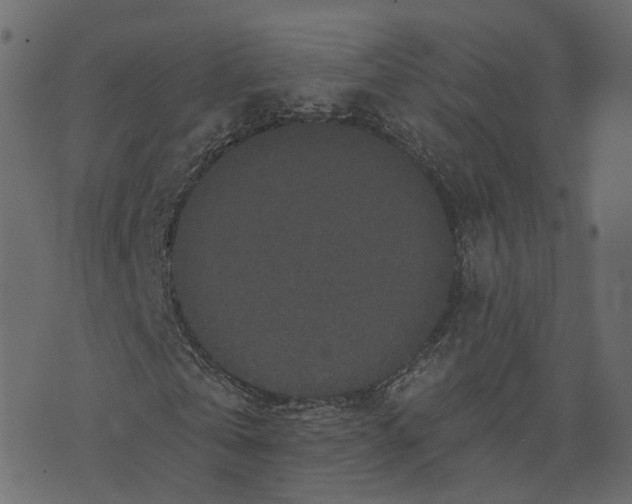 X0000073410769200608251524