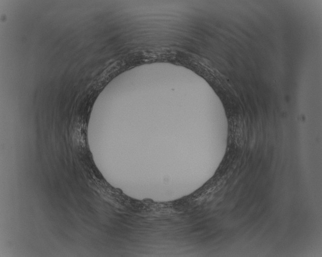 X0000073410770200608251524