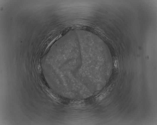 X0000073410771200608251524