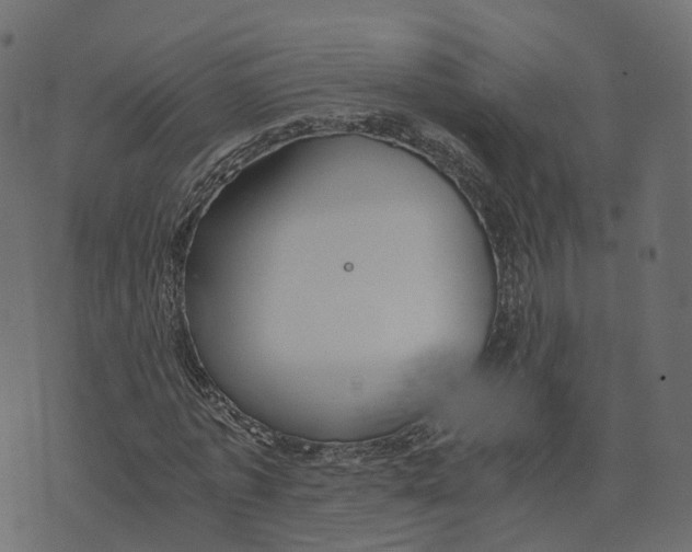 X0000073410773200608251524