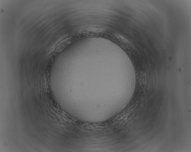 X0000073410774200608251524