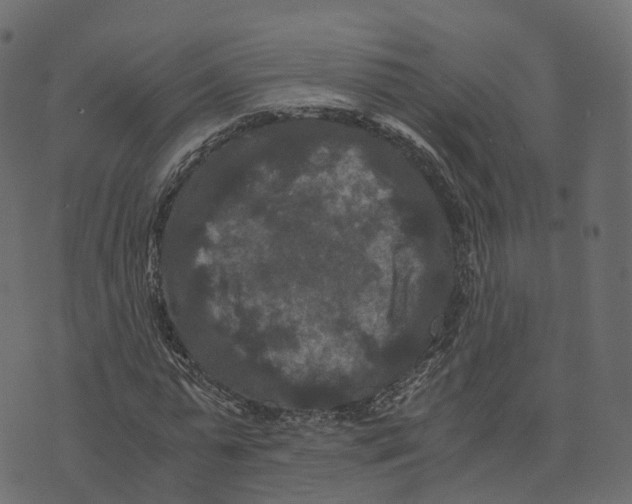 X0000073410775200608251524