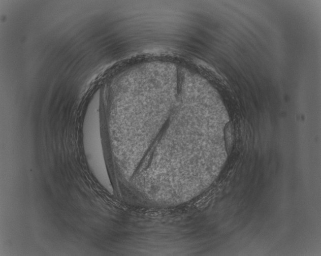 X0000073410776200608251524