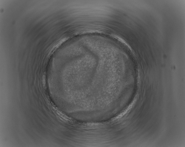 X0000073410777200608251524