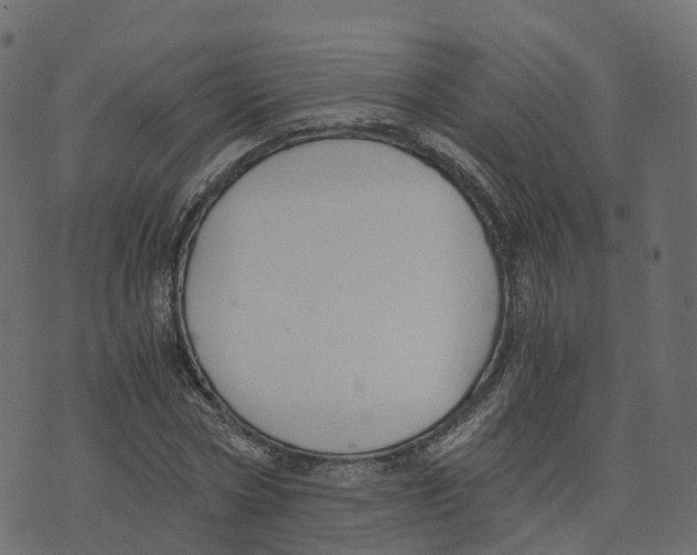 X0000073410778200608251524