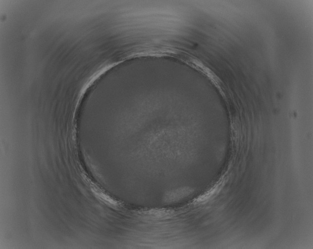 X0000073410779200608251524