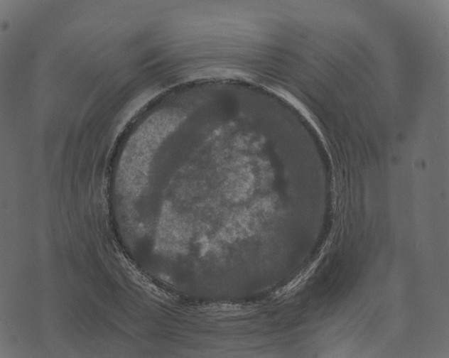 X0000073410783200608251524