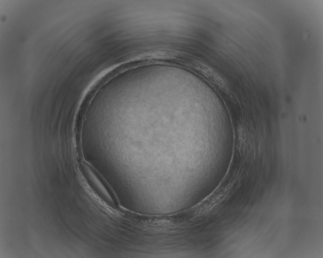 X0000073410784200608251524