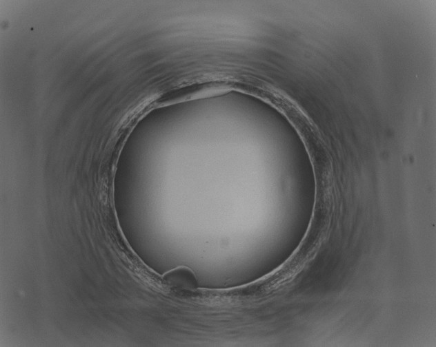 X0000073410785200608251524