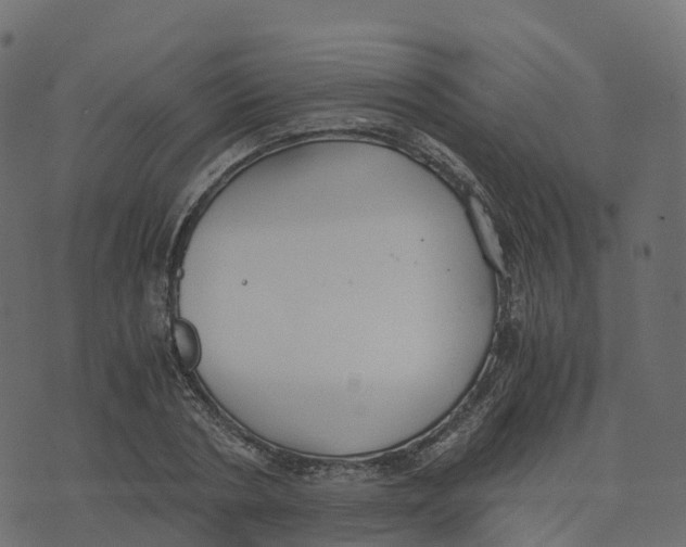 X0000073410786200608251524