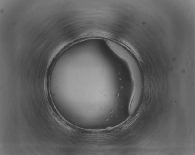 X0000073410788200608251524