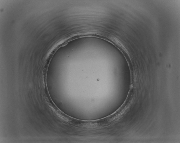 X0000073410789200608251524