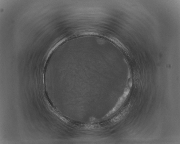 X0000073410790200608251524