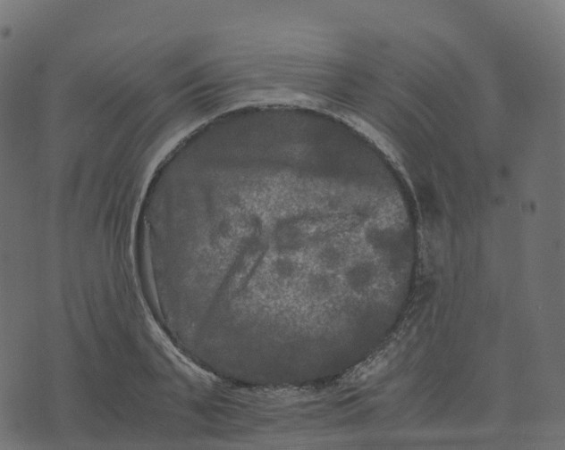 X0000073410791200608251523