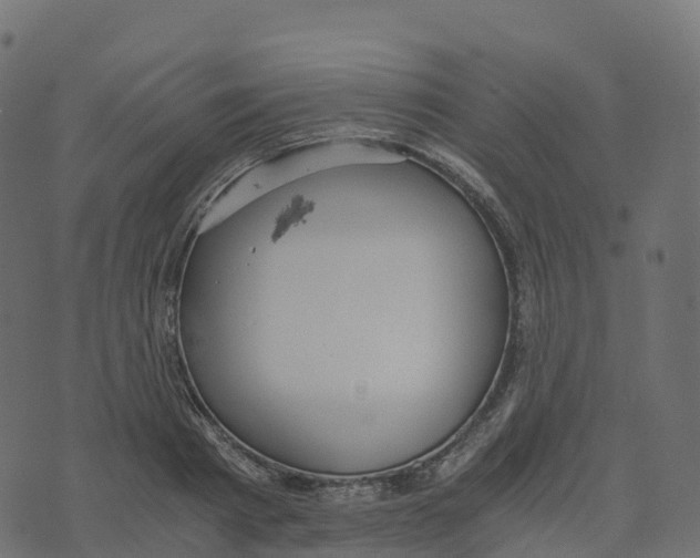 X0000073410793200608251523