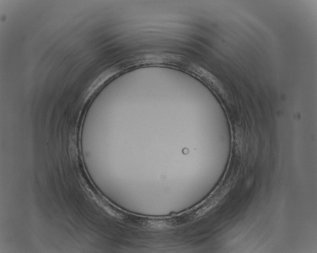 X0000073410794200608251523