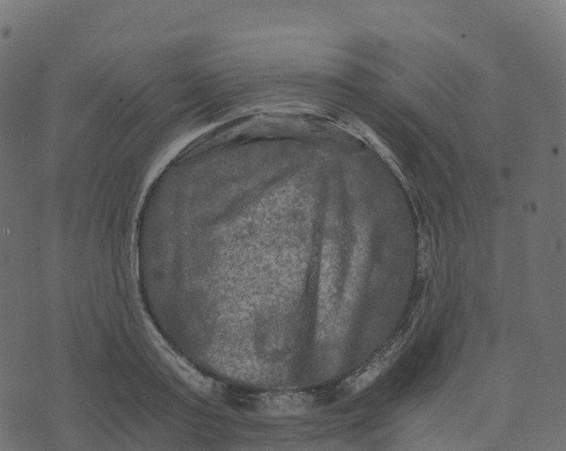 X0000073410795200608251523