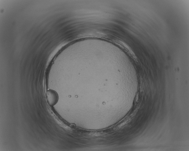 X0000073410796200608251523