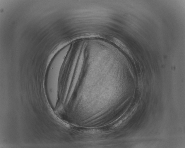 X0000073410797200608251523