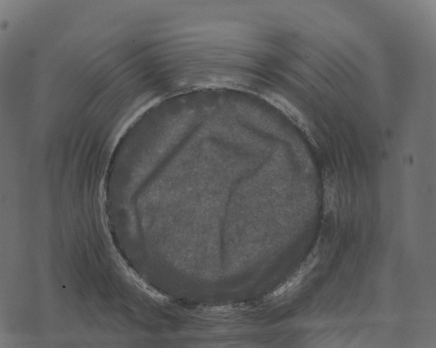 X0000073410798200608251523