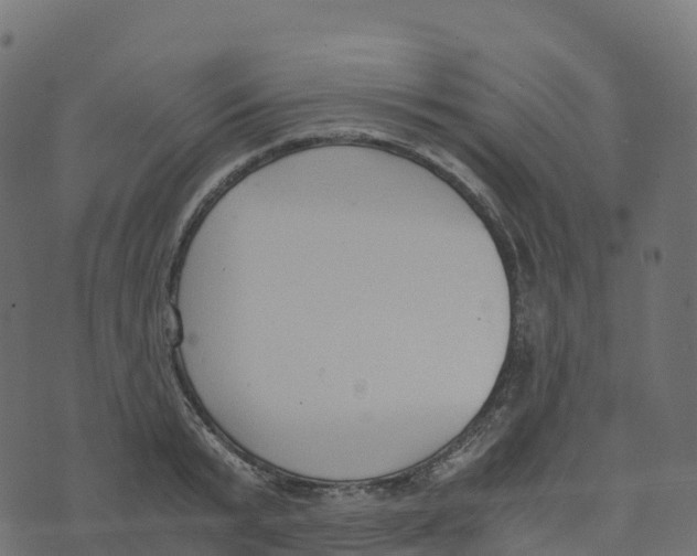 X0000073410799200608251523