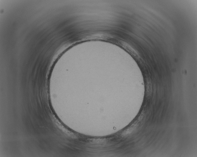 X0000073410800200608251523