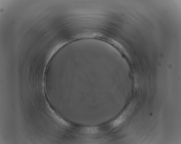 X0000073410802200608251523