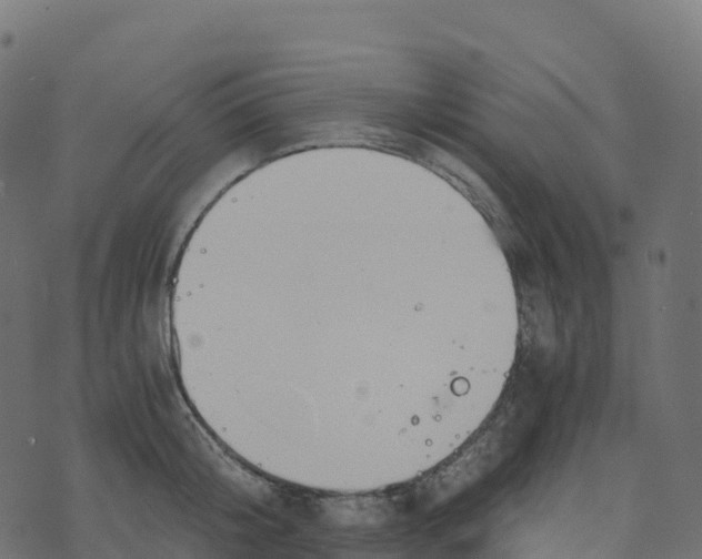 X0000073410804200608251523