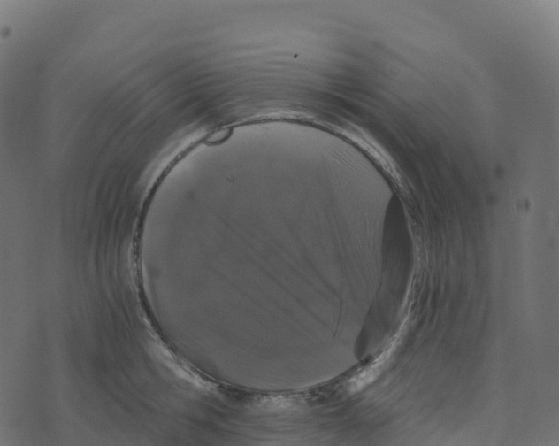 X0000073410806200608251523