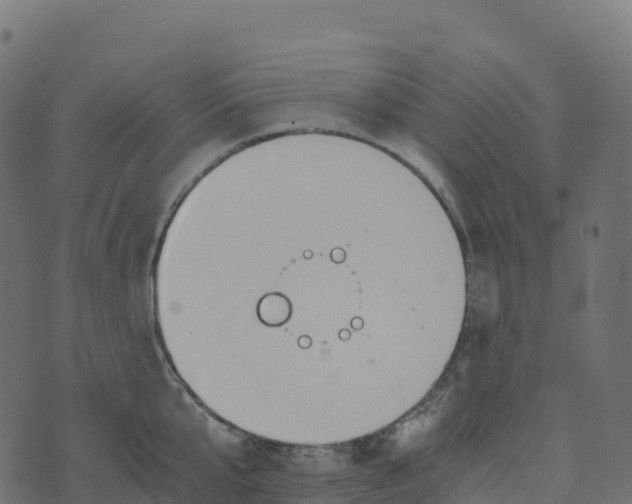 X0000073410807200608251523