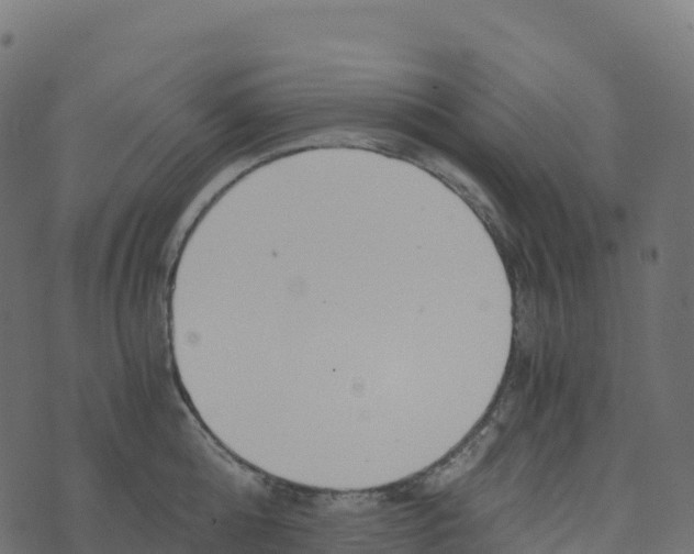 X0000073410808200608251523