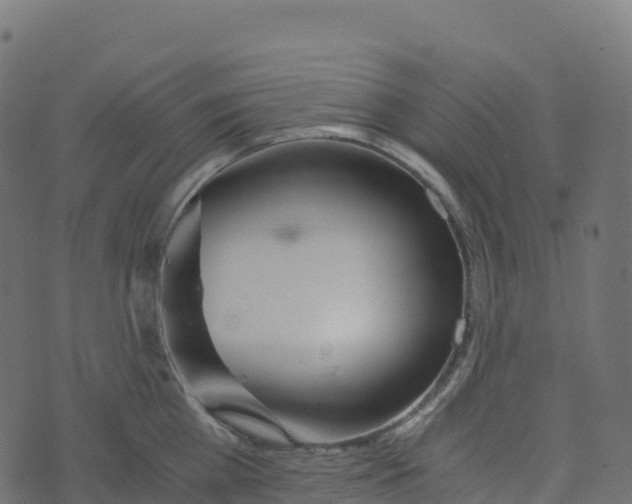 X0000073410809200608251523