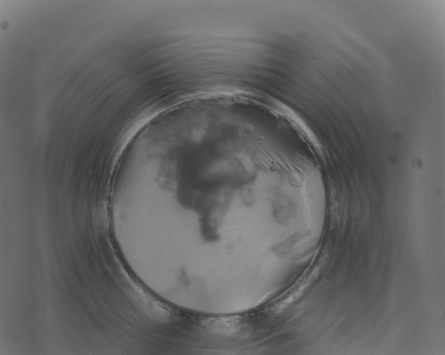 X0000073410810200608251523