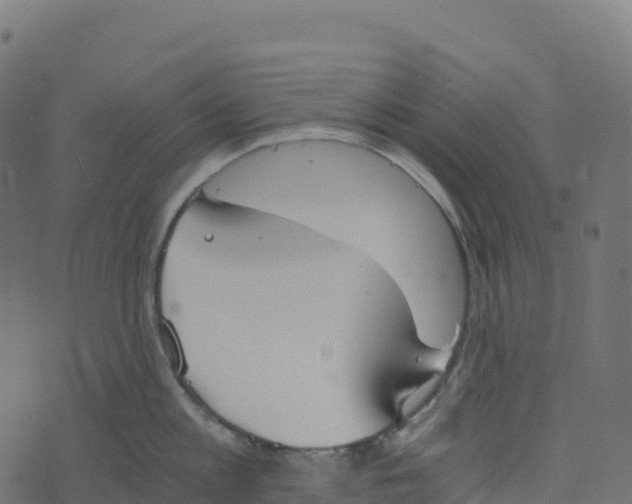 X0000073410813200608251523