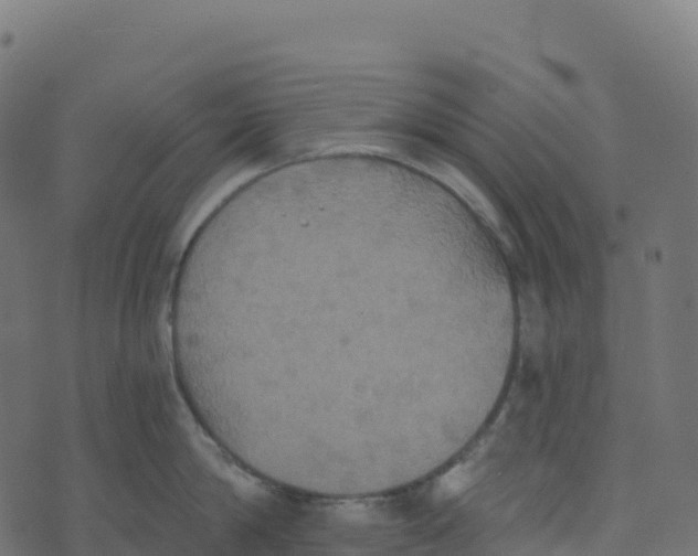 X0000073410814200608251523