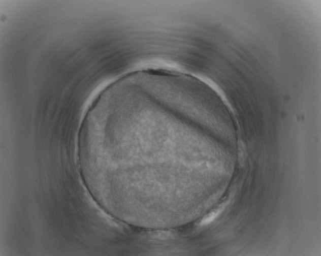 X0000073410815200608251523