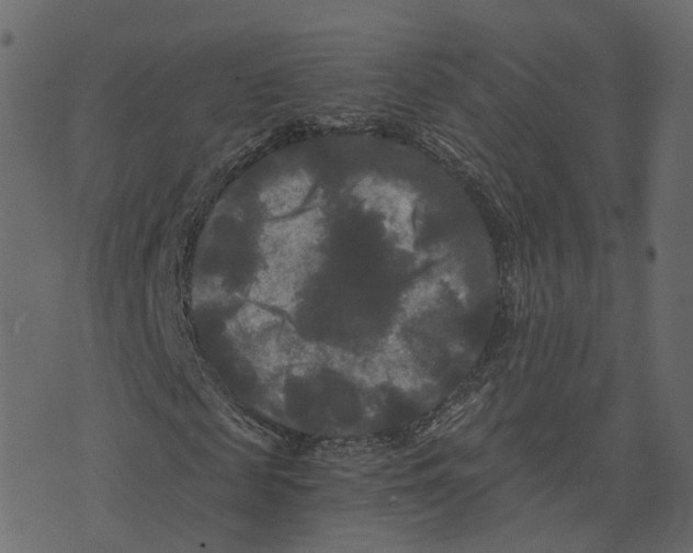 X0000073410817200608251522