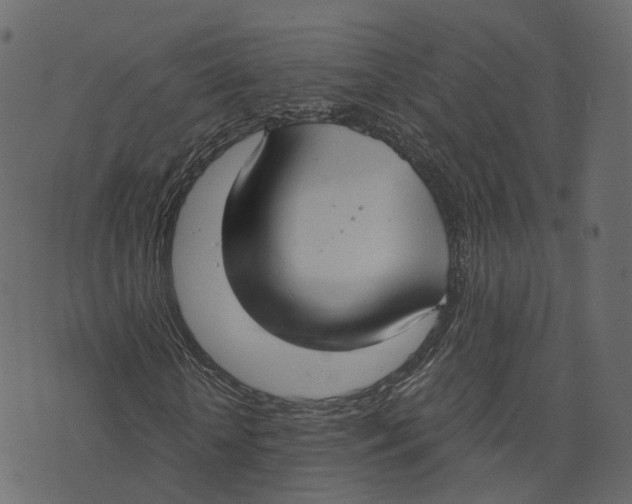 X0000073410818200608251522