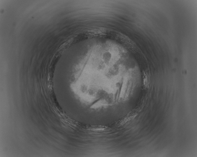 X0000073410819200608251522