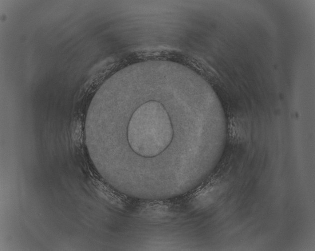 X0000073410820200608251522