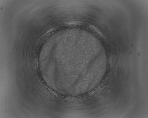 X0000073410821200608251522