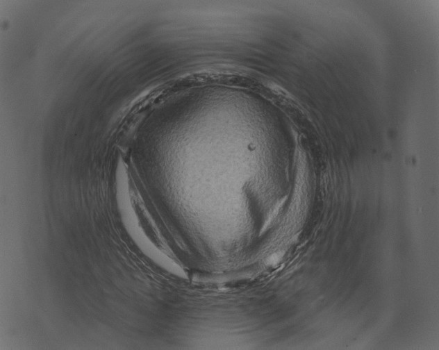 X0000073410822200608251522